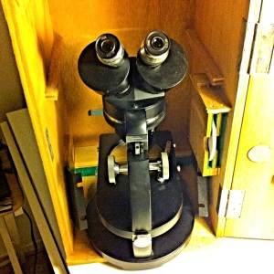 Stereoscopic microscope